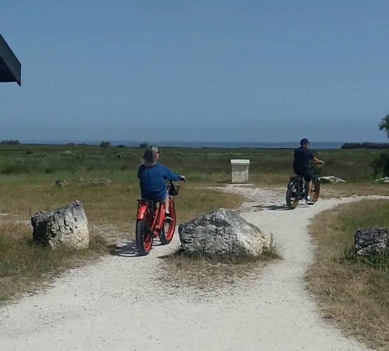 Les sentiers du littoral à vélo Fat Bike électrique